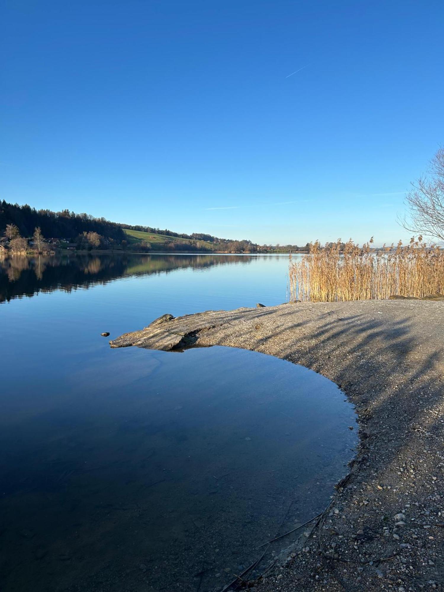 Ferienwohnungen Am See Obertrum am See Luaran gambar